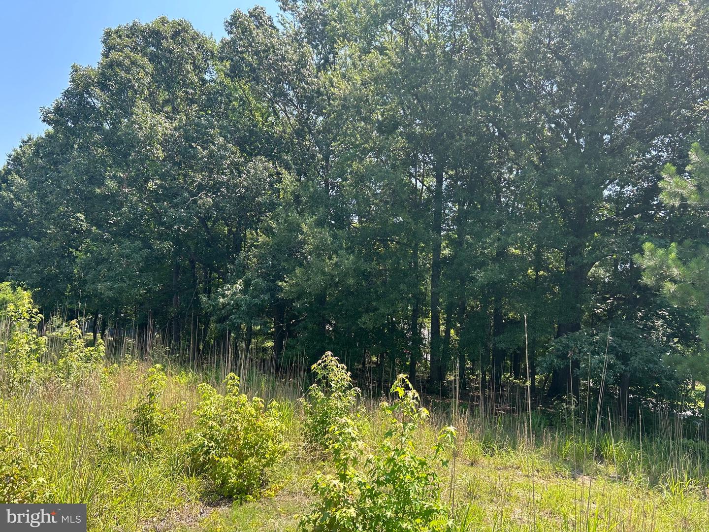 0 BROOKS DR, COLONIAL BEACH, Virginia 22443, ,Land,For sale,0 BROOKS DR,VAWE2009276 MLS # VAWE2009276