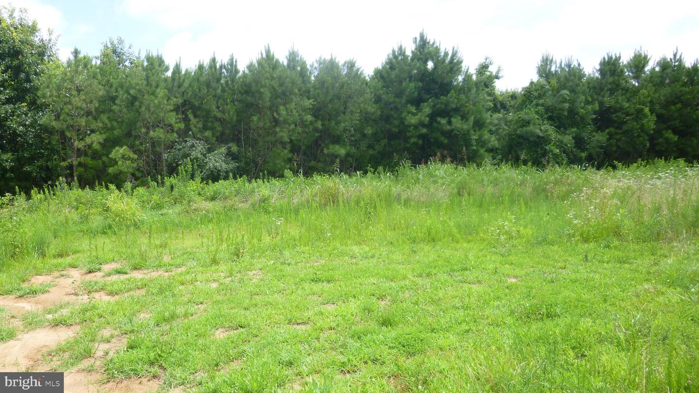 SANTA CRUZ RD, MONTROSS, Virginia 22520, ,Land,For sale,SANTA CRUZ RD,VAWE2009284 MLS # VAWE2009284