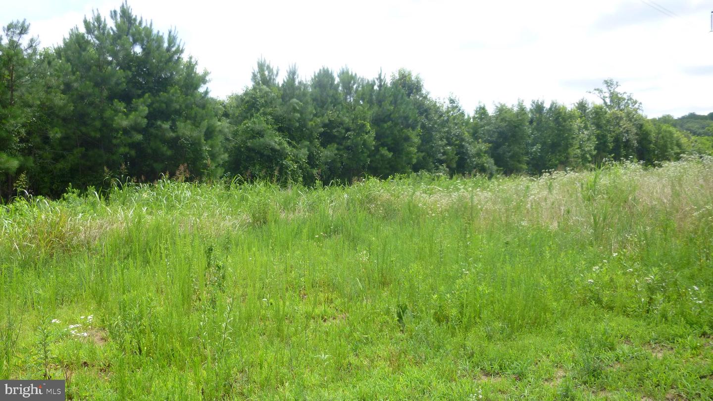 SANTA CRUZ RD, MONTROSS, Virginia 22520, ,Land,For sale,SANTA CRUZ RD,VAWE2009284 MLS # VAWE2009284