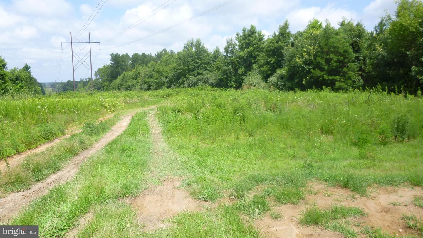 SANTA CRUZ RD, MONTROSS, Virginia 22520, ,Land,For sale,SANTA CRUZ RD,VAWE2009284 MLS # VAWE2009284