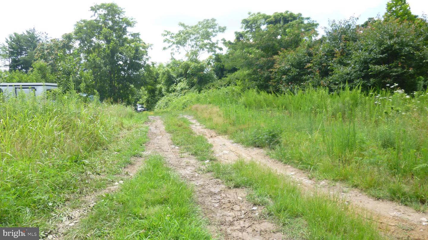 SANTA CRUZ RD, MONTROSS, Virginia 22520, ,Land,For sale,SANTA CRUZ RD,VAWE2009284 MLS # VAWE2009284