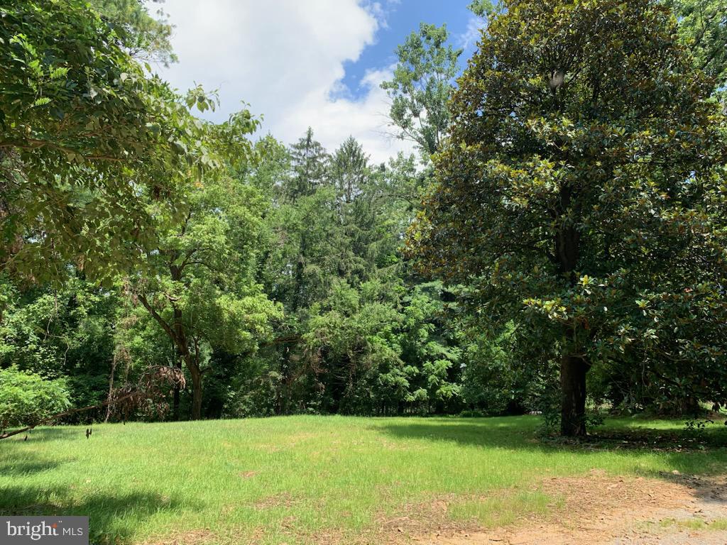 13036 SAGLE, HILLSBORO, Virginia 20132, ,Land,For sale,13036 SAGLE,VALO2101998 MLS # VALO2101998