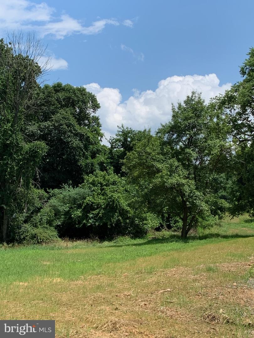 13036 SAGLE, HILLSBORO, Virginia 20132, ,Land,For sale,13036 SAGLE,VALO2101998 MLS # VALO2101998