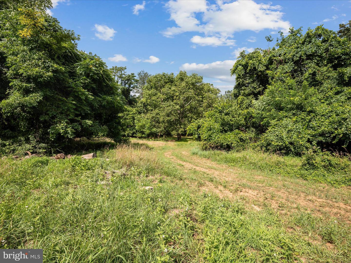 13036 SAGLE, HILLSBORO, Virginia 20132, ,Land,For sale,13036 SAGLE,VALO2101998 MLS # VALO2101998