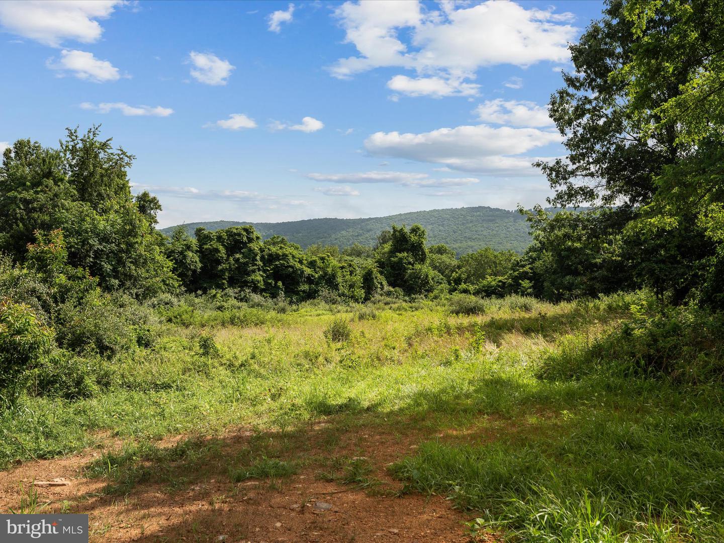 13036 SAGLE, HILLSBORO, Virginia 20132, ,Land,For sale,13036 SAGLE,VALO2101998 MLS # VALO2101998