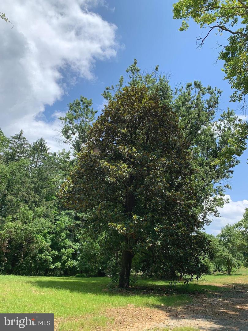 13036 SAGLE, HILLSBORO, Virginia 20132, ,Land,For sale,13036 SAGLE,VALO2101998 MLS # VALO2101998