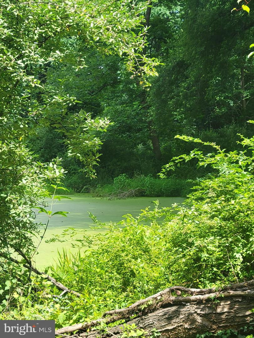 13036 SAGLE, HILLSBORO, Virginia 20132, ,Land,For sale,13036 SAGLE,VALO2101998 MLS # VALO2101998