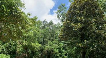 13036 SAGLE, HILLSBORO, Virginia 20132, ,Land,For sale,13036 SAGLE,VALO2101998 MLS # VALO2101998