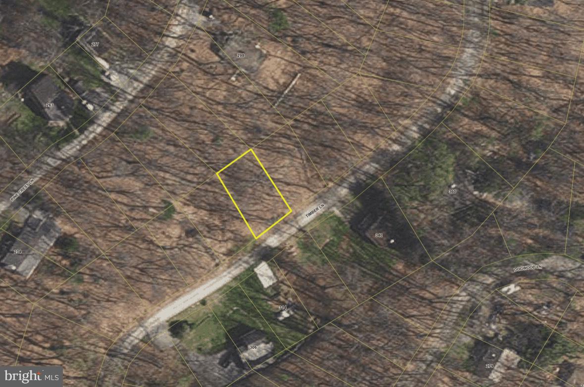 TIMBER LN, BLUEMONT, Virginia 20135, ,Land,For sale,TIMBER LN,VACL2003902 MLS # VACL2003902