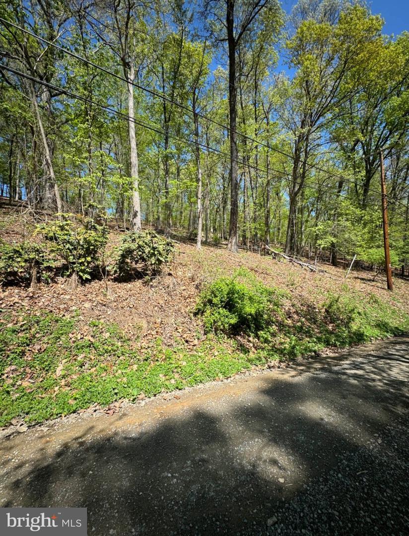 TIMBER LN, BLUEMONT, Virginia 20135, ,Land,For sale,TIMBER LN,VACL2003902 MLS # VACL2003902