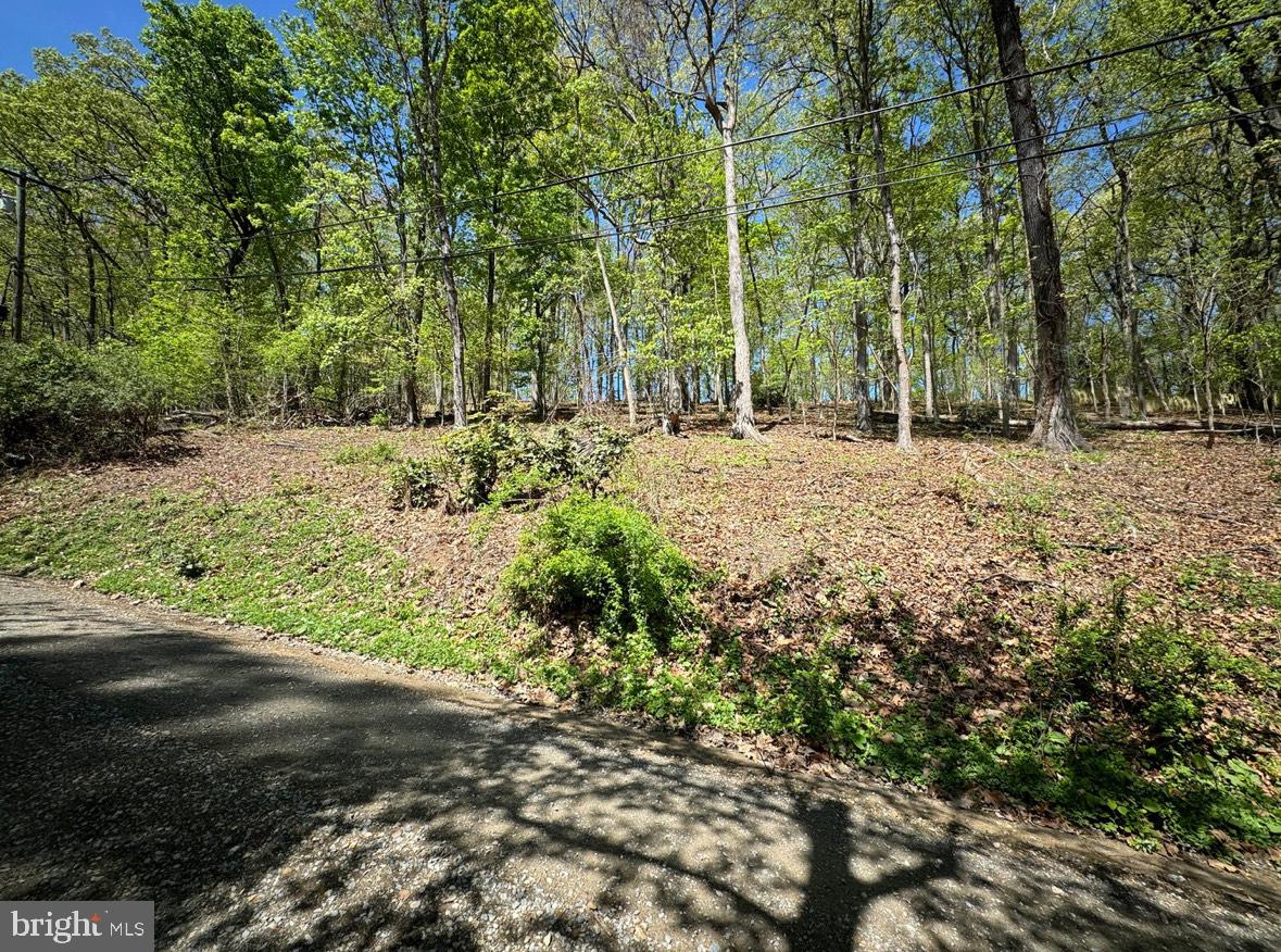 TIMBER LN, BLUEMONT, Virginia 20135, ,Land,For sale,TIMBER LN,VACL2003902 MLS # VACL2003902