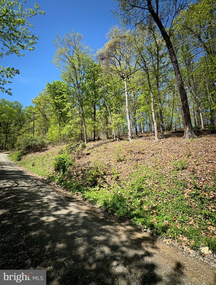 TIMBER LN, BLUEMONT, Virginia 20135, ,Land,For sale,TIMBER LN,VACL2003902 MLS # VACL2003902