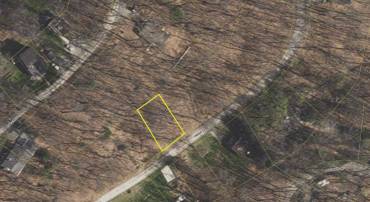 TIMBER LN, BLUEMONT, Virginia 20135, ,Land,For sale,TIMBER LN,VACL2003902 MLS # VACL2003902