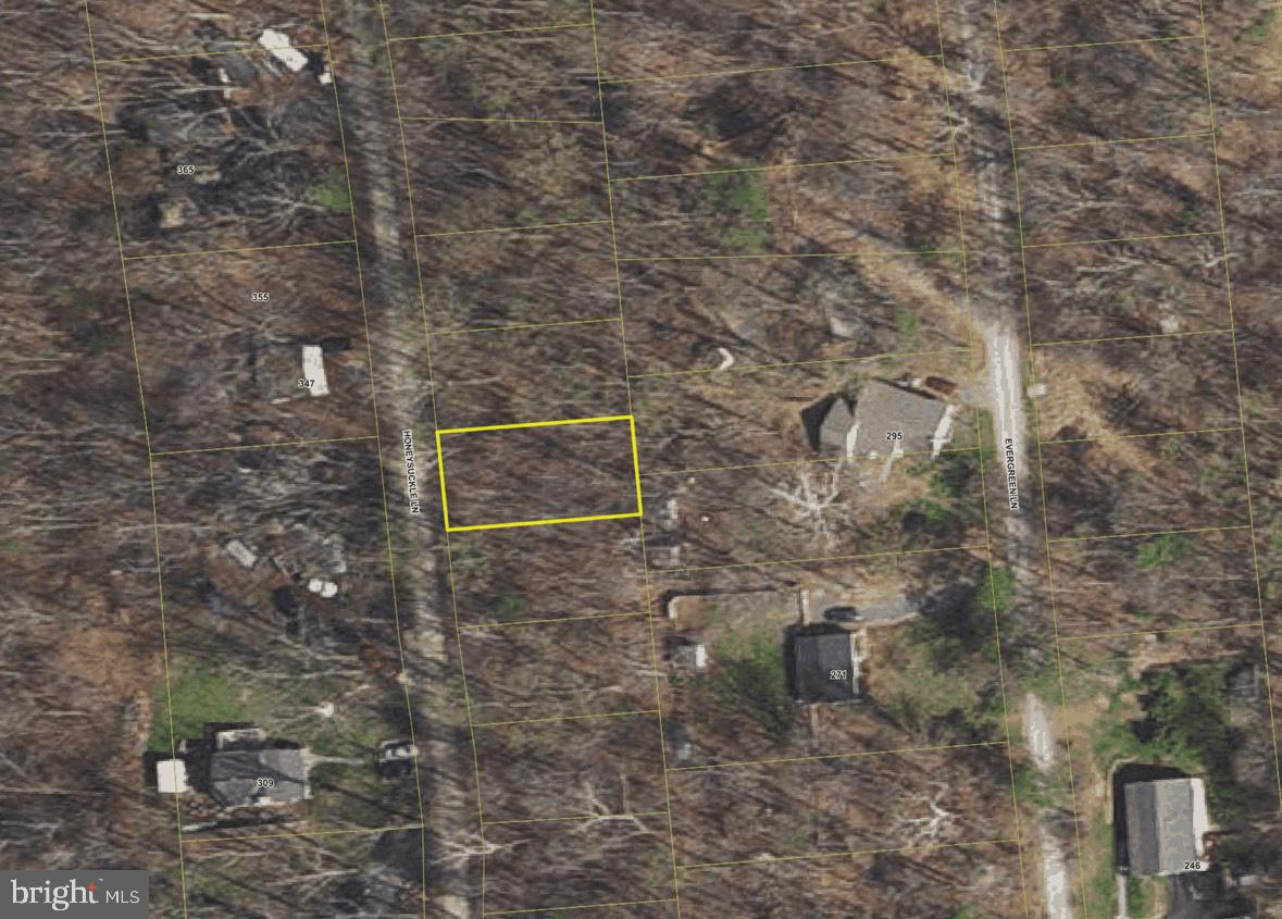 HONEYSUCKLE LN, BERRYVILLE, Virginia 22611, ,Land,For sale,HONEYSUCKLE LN,VACL2003904 MLS # VACL2003904