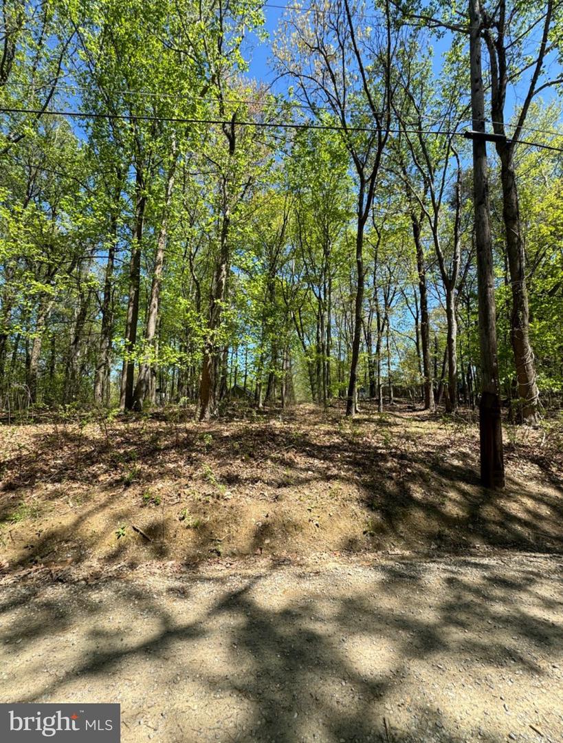 HONEYSUCKLE LN, BERRYVILLE, Virginia 22611, ,Land,For sale,HONEYSUCKLE LN,VACL2003904 MLS # VACL2003904