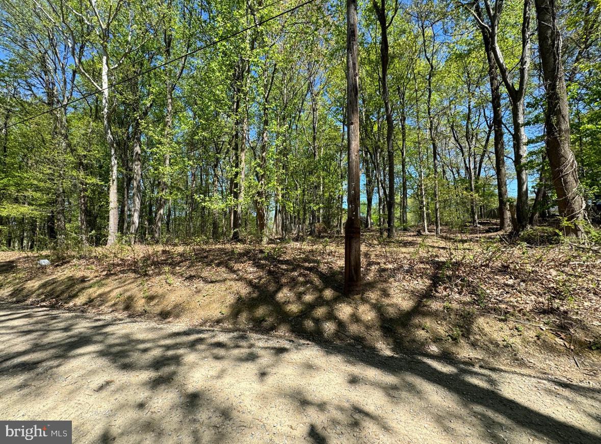 HONEYSUCKLE LN, BERRYVILLE, Virginia 22611, ,Land,For sale,HONEYSUCKLE LN,VACL2003904 MLS # VACL2003904