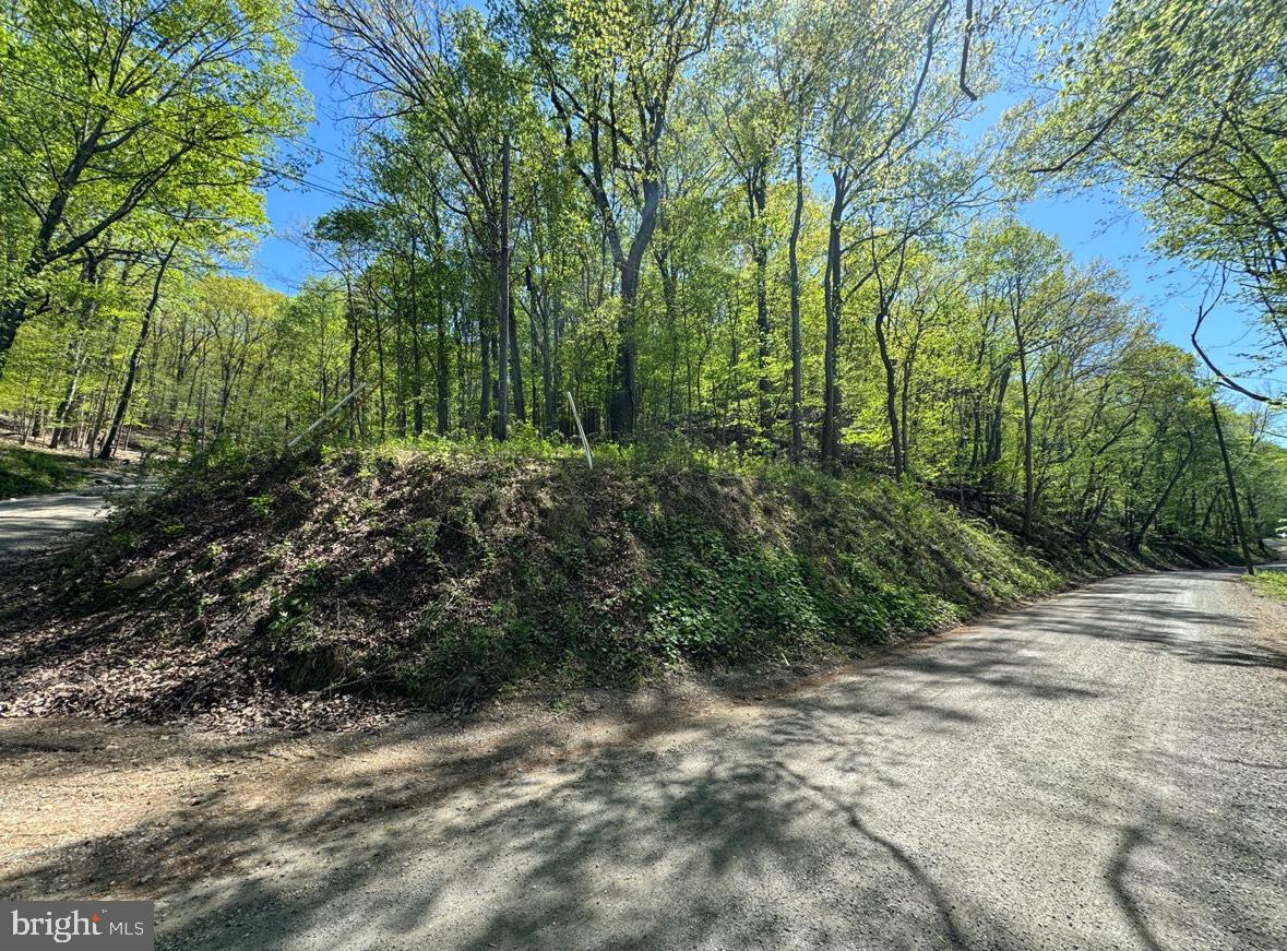 PARKER LN, BLUEMONT, Virginia 20135, ,Land,For sale,PARKER LN,VACL2003908 MLS # VACL2003908