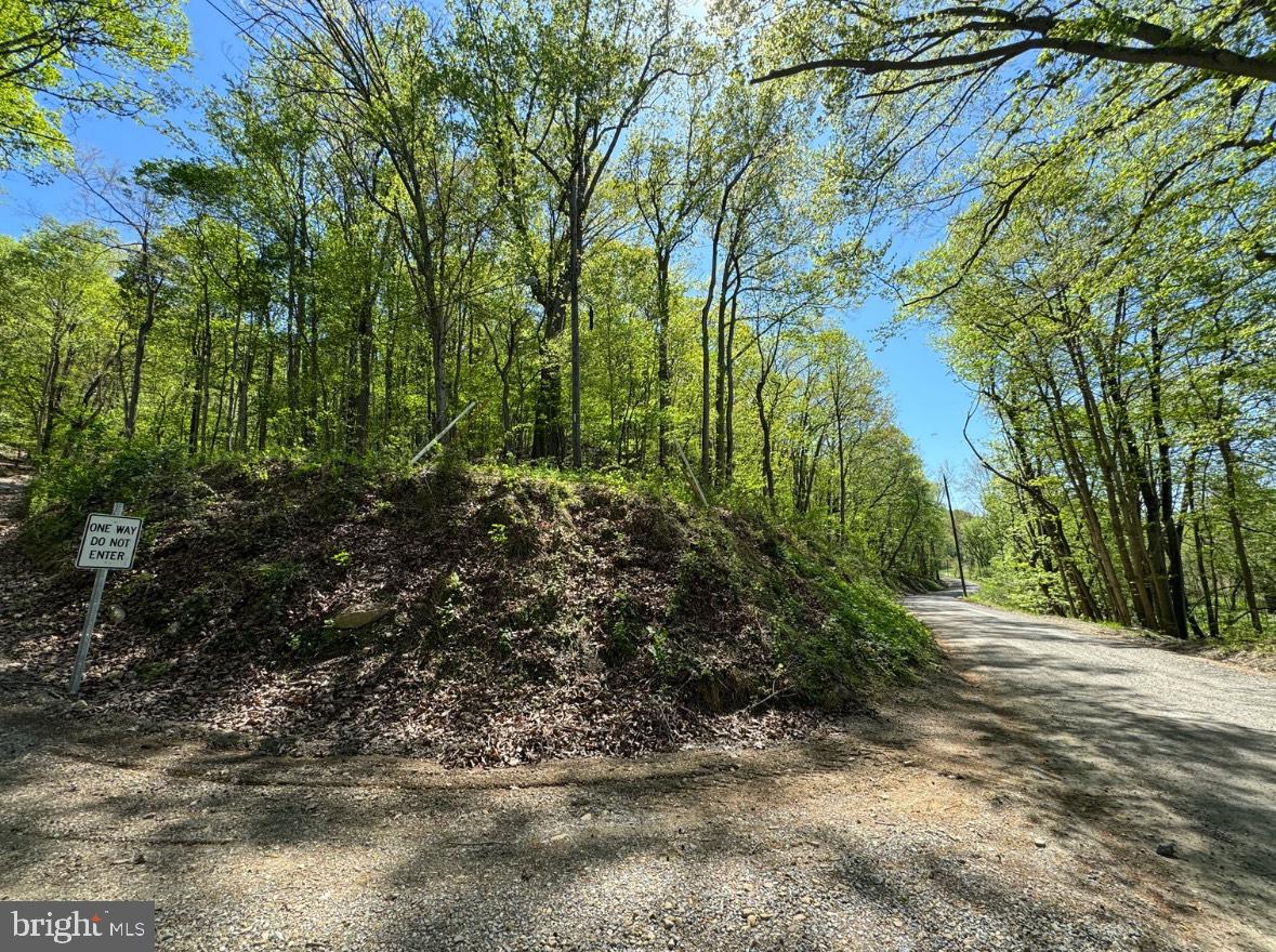 PARKER LN, BLUEMONT, Virginia 20135, ,Land,For sale,PARKER LN,VACL2003908 MLS # VACL2003908