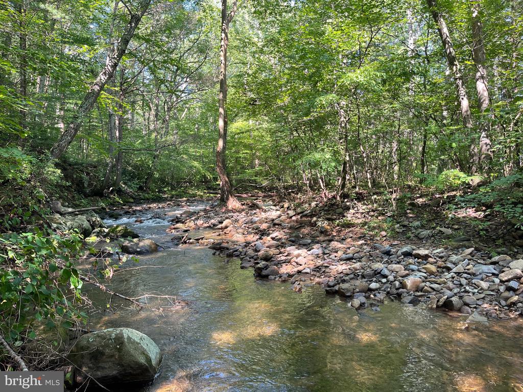 535 OLD HOLLOW RD, SPERRYVILLE, Virginia 22740, 1 Bedroom Bedrooms, ,1 BathroomBathrooms,Residential,535 OLD HOLLOW RD,VARP2002180 MLS # VARP2002180