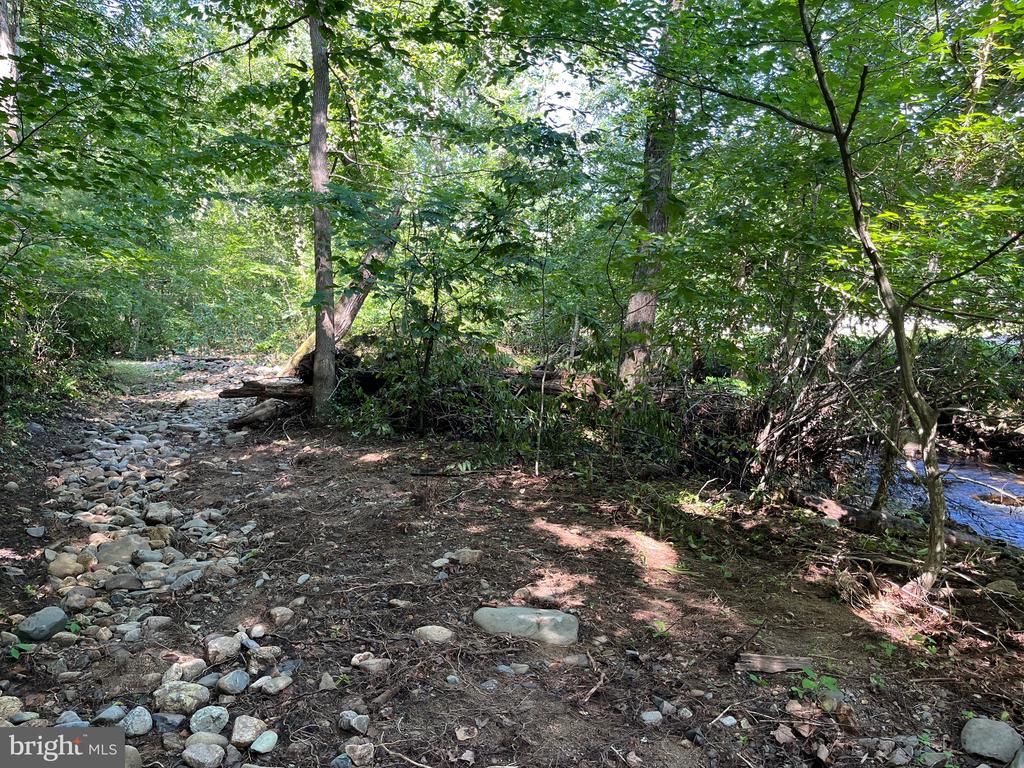 535 OLD HOLLOW RD, SPERRYVILLE, Virginia 22740, 1 Bedroom Bedrooms, ,1 BathroomBathrooms,Residential,535 OLD HOLLOW RD,VARP2002180 MLS # VARP2002180
