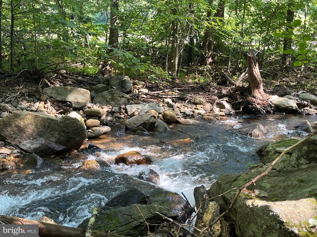 535 OLD HOLLOW RD, SPERRYVILLE, Virginia 22740, 1 Bedroom Bedrooms, ,1 BathroomBathrooms,Residential,535 OLD HOLLOW RD,VARP2002180 MLS # VARP2002180
