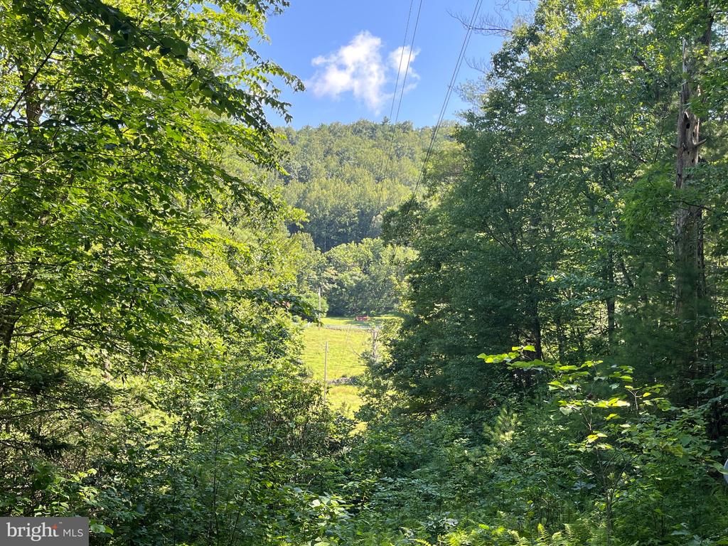 535 OLD HOLLOW RD, SPERRYVILLE, Virginia 22740, 1 Bedroom Bedrooms, ,1 BathroomBathrooms,Residential,535 OLD HOLLOW RD,VARP2002180 MLS # VARP2002180