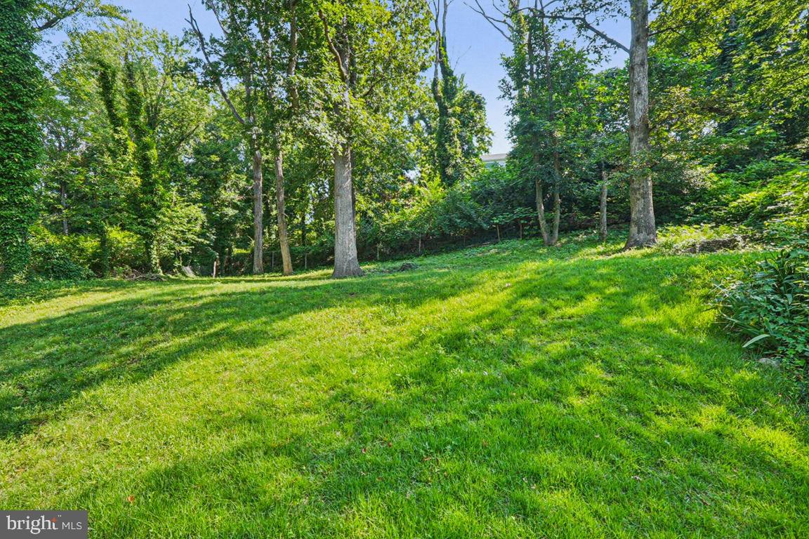 4065 TANEY AVE, ALEXANDRIA, Virginia 22304, 4 Bedrooms Bedrooms, 15 Rooms Rooms,3 BathroomsBathrooms,Residential,For sale,4065 TANEY AVE,VAAX2045404 MLS # VAAX2045404