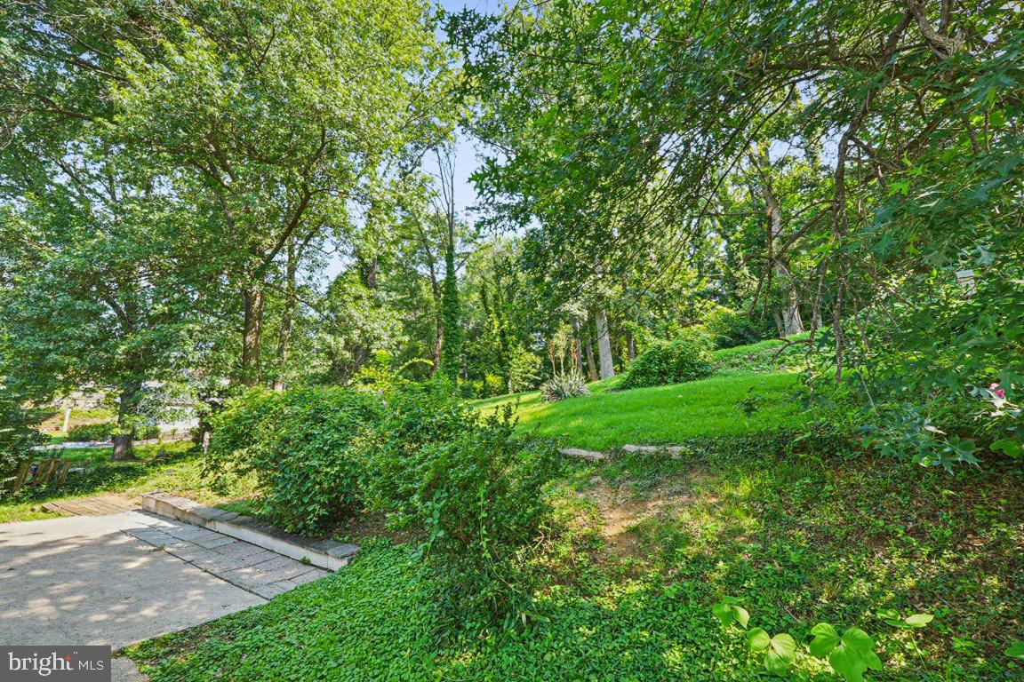 4065 TANEY AVE, ALEXANDRIA, Virginia 22304, 4 Bedrooms Bedrooms, 15 Rooms Rooms,3 BathroomsBathrooms,Residential,For sale,4065 TANEY AVE,VAAX2045404 MLS # VAAX2045404