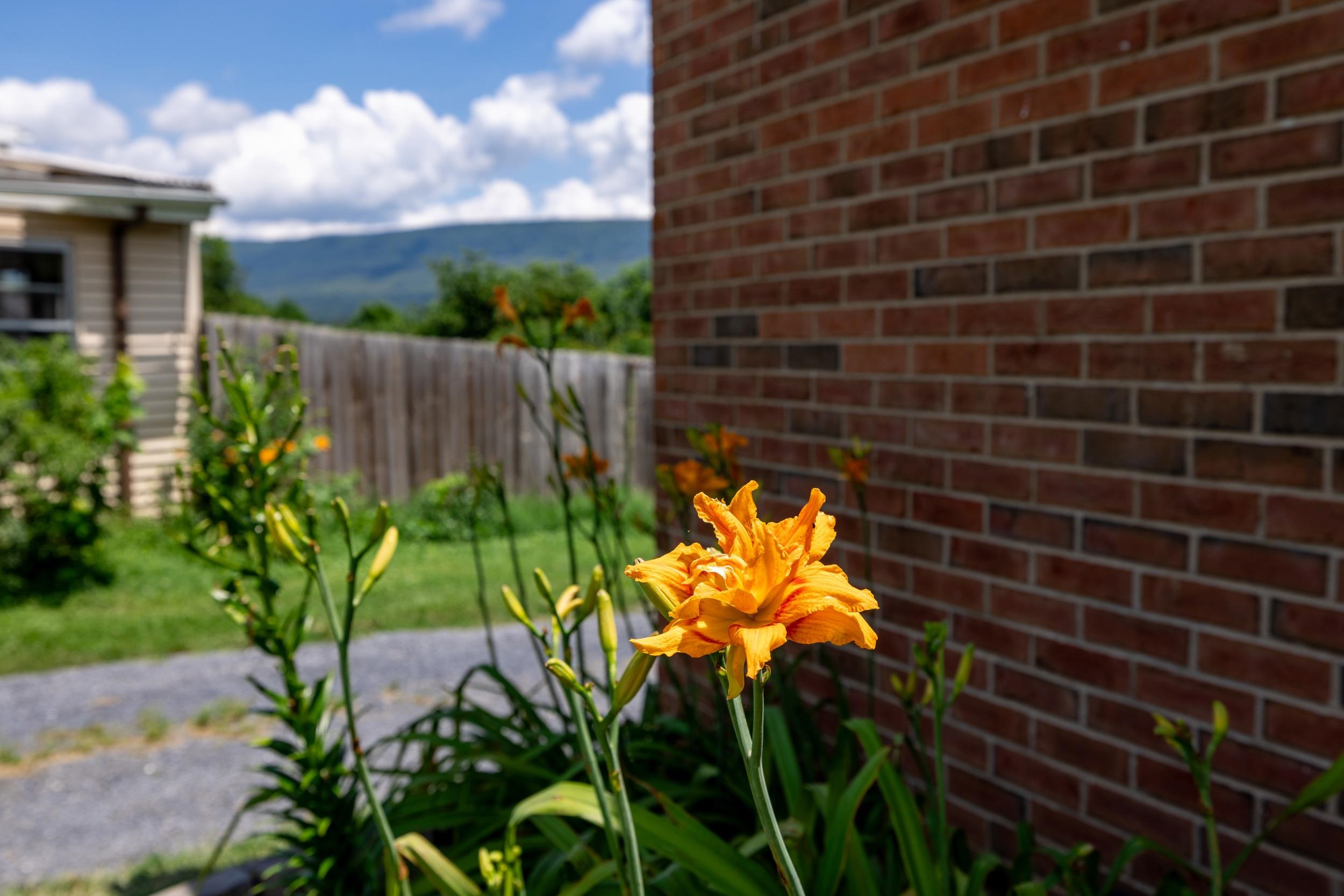 5226 DOGWOOD DR, MOUNT JACKSON, Virginia 22842, 4 Bedrooms Bedrooms, ,2 BathroomsBathrooms,Residential,5226 DOGWOOD DR,666652 MLS # 666652