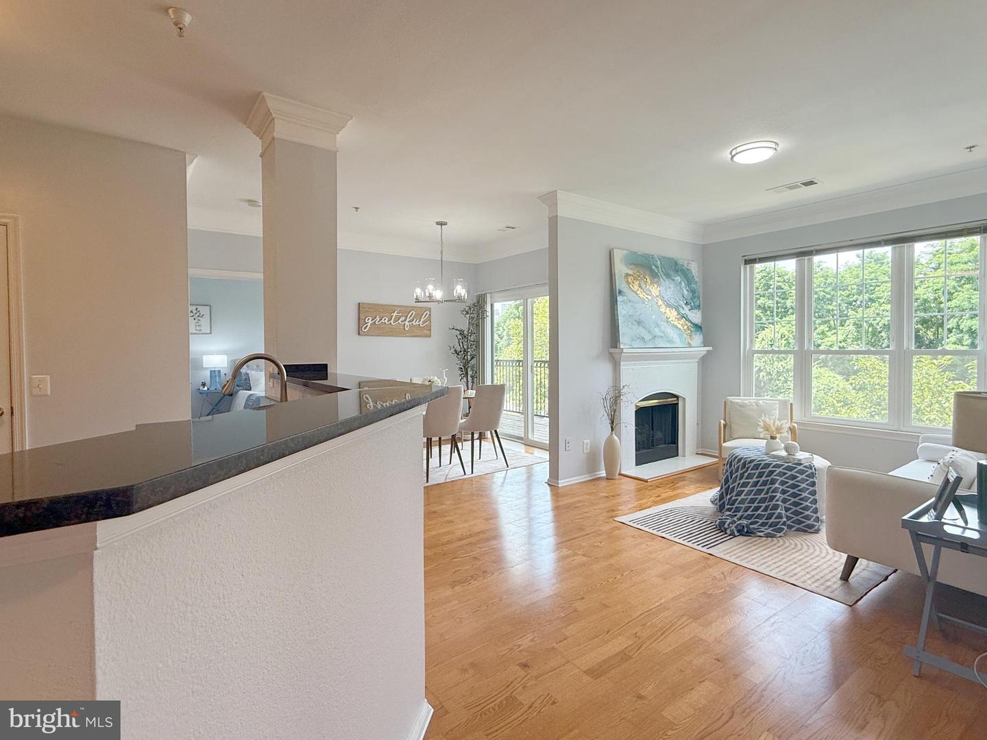 1530 SPRING GATE DR #9317, MCLEAN, Virginia 22102, 3 Bedrooms Bedrooms, ,2 BathroomsBathrooms,Residential,For sale,1530 SPRING GATE DR #9317,VAFX2243056 MLS # VAFX2243056