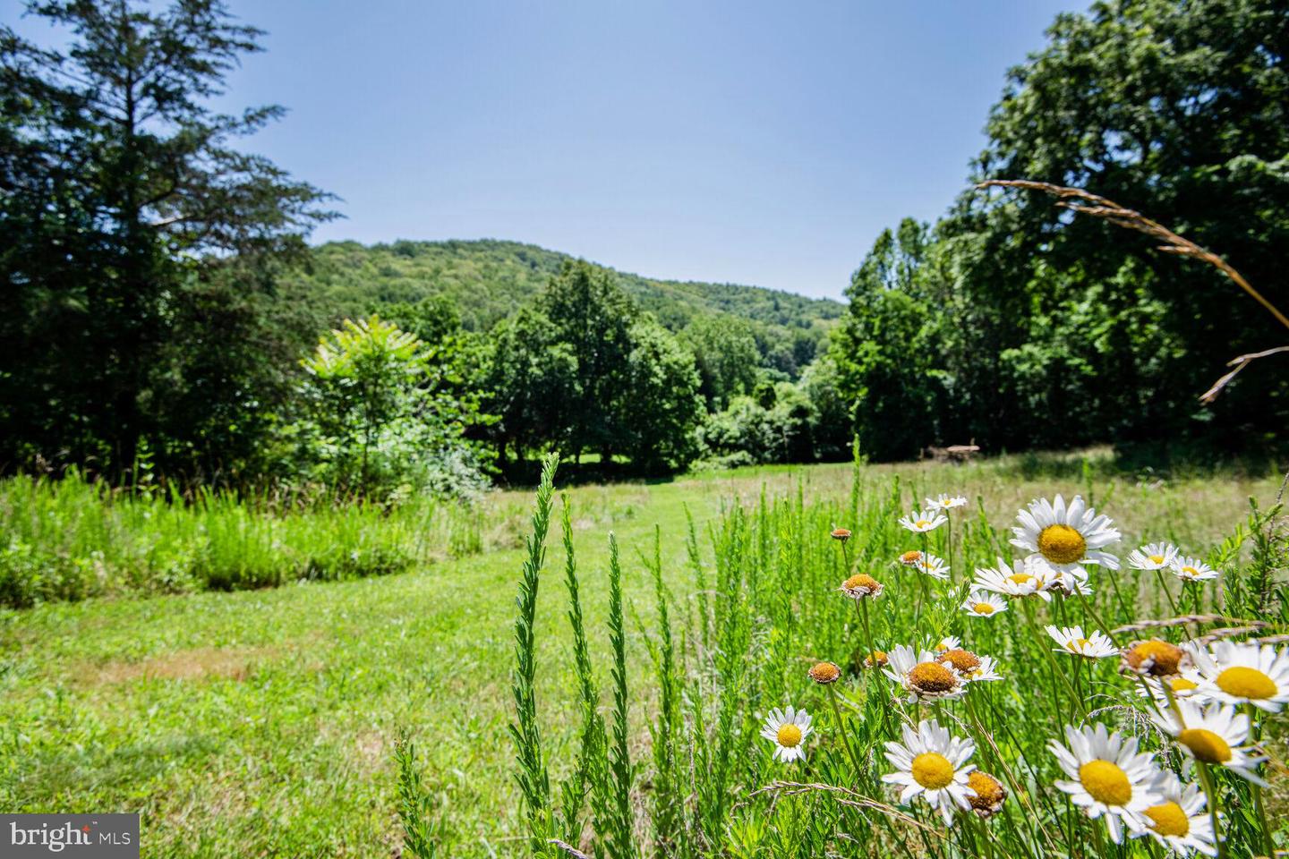 1903 BUCK MOUNTAIN RD, BENTONVILLE, Virginia 22610, 4 Bedrooms Bedrooms, ,3 BathroomsBathrooms,Residential,For sale,1903 BUCK MOUNTAIN RD,VAWR2011536 MLS # VAWR2011536