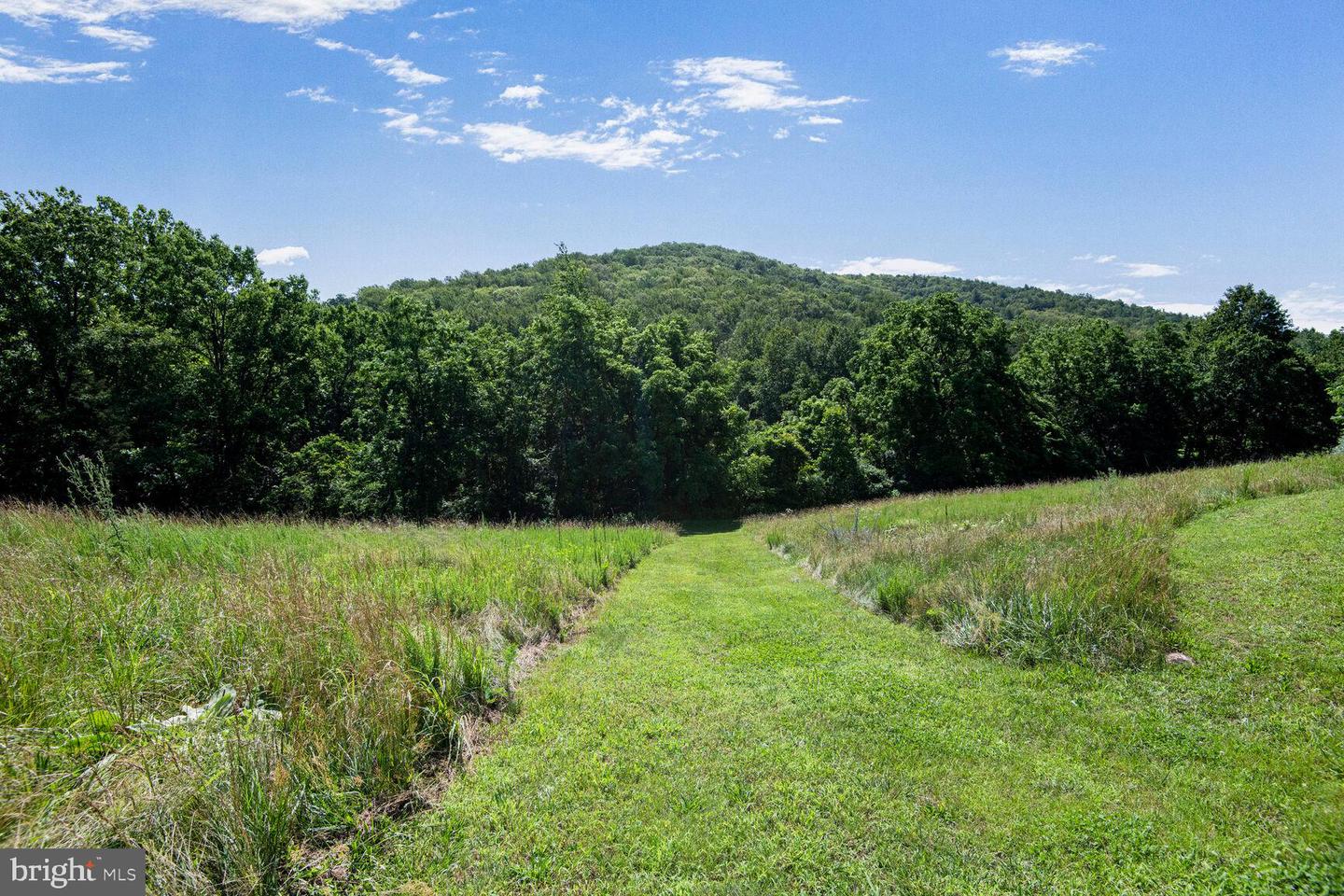 1903 BUCK MOUNTAIN RD, BENTONVILLE, Virginia 22610, 4 Bedrooms Bedrooms, ,3 BathroomsBathrooms,Residential,For sale,1903 BUCK MOUNTAIN RD,VAWR2011536 MLS # VAWR2011536