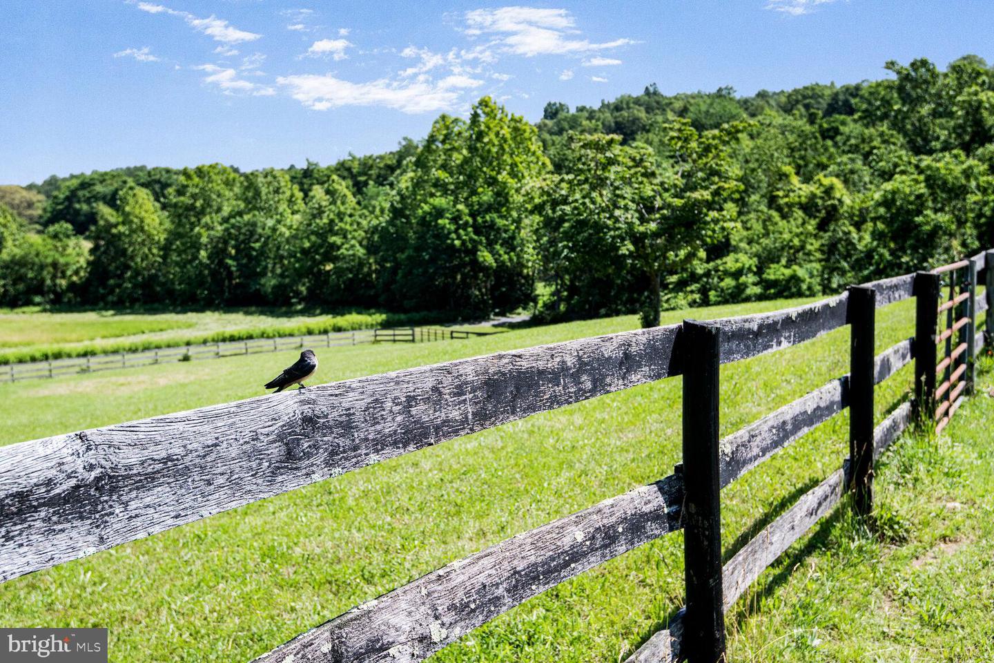 1903 BUCK MOUNTAIN RD, BENTONVILLE, Virginia 22610, 4 Bedrooms Bedrooms, ,3 BathroomsBathrooms,Residential,For sale,1903 BUCK MOUNTAIN RD,VAWR2011536 MLS # VAWR2011536