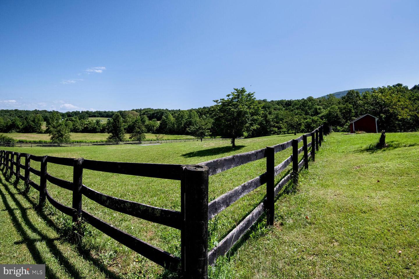 1903 BUCK MOUNTAIN RD, BENTONVILLE, Virginia 22610, 4 Bedrooms Bedrooms, ,3 BathroomsBathrooms,Residential,For sale,1903 BUCK MOUNTAIN RD,VAWR2011536 MLS # VAWR2011536