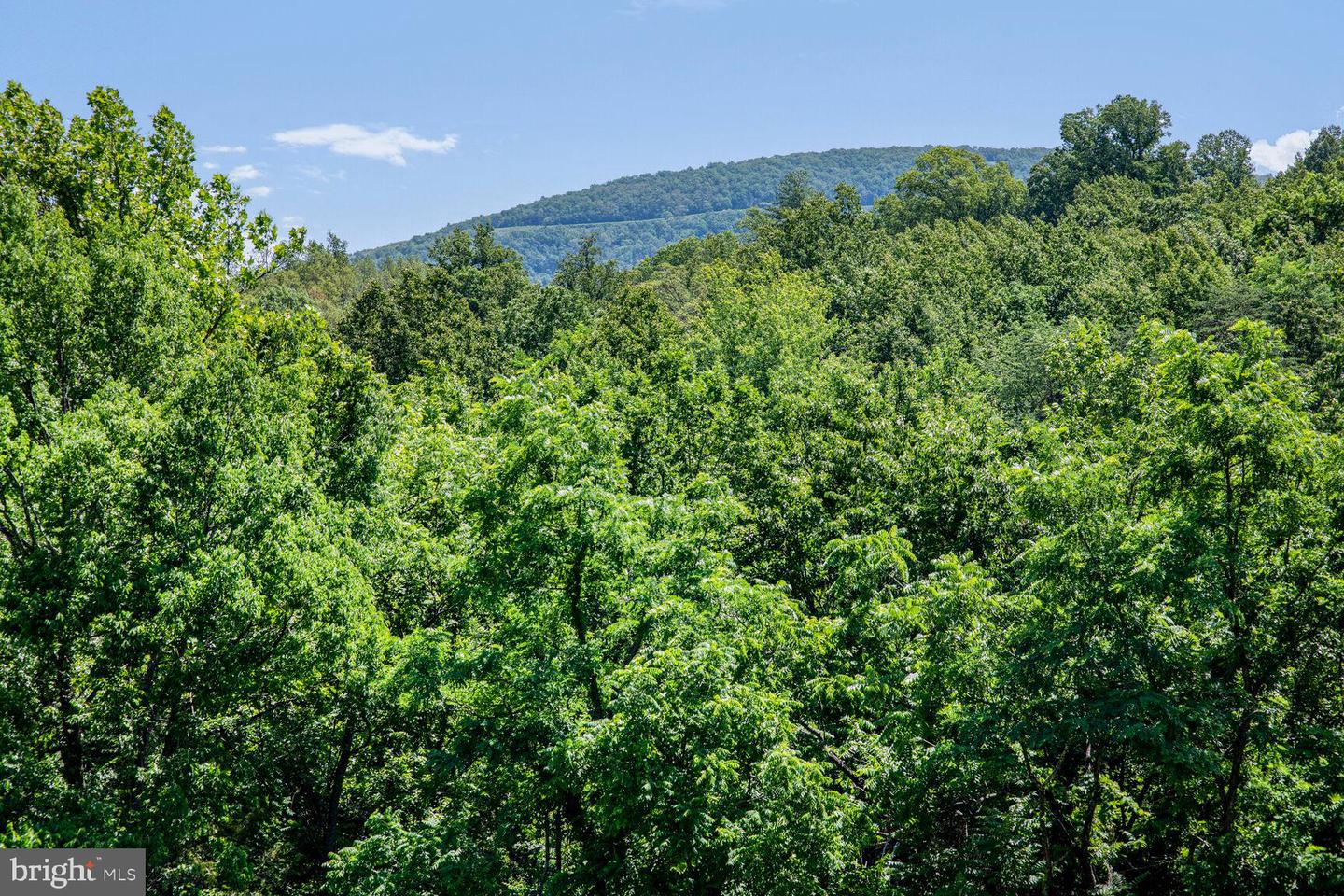 1903 BUCK MOUNTAIN RD, BENTONVILLE, Virginia 22610, 4 Bedrooms Bedrooms, ,3 BathroomsBathrooms,Residential,For sale,1903 BUCK MOUNTAIN RD,VAWR2011536 MLS # VAWR2011536