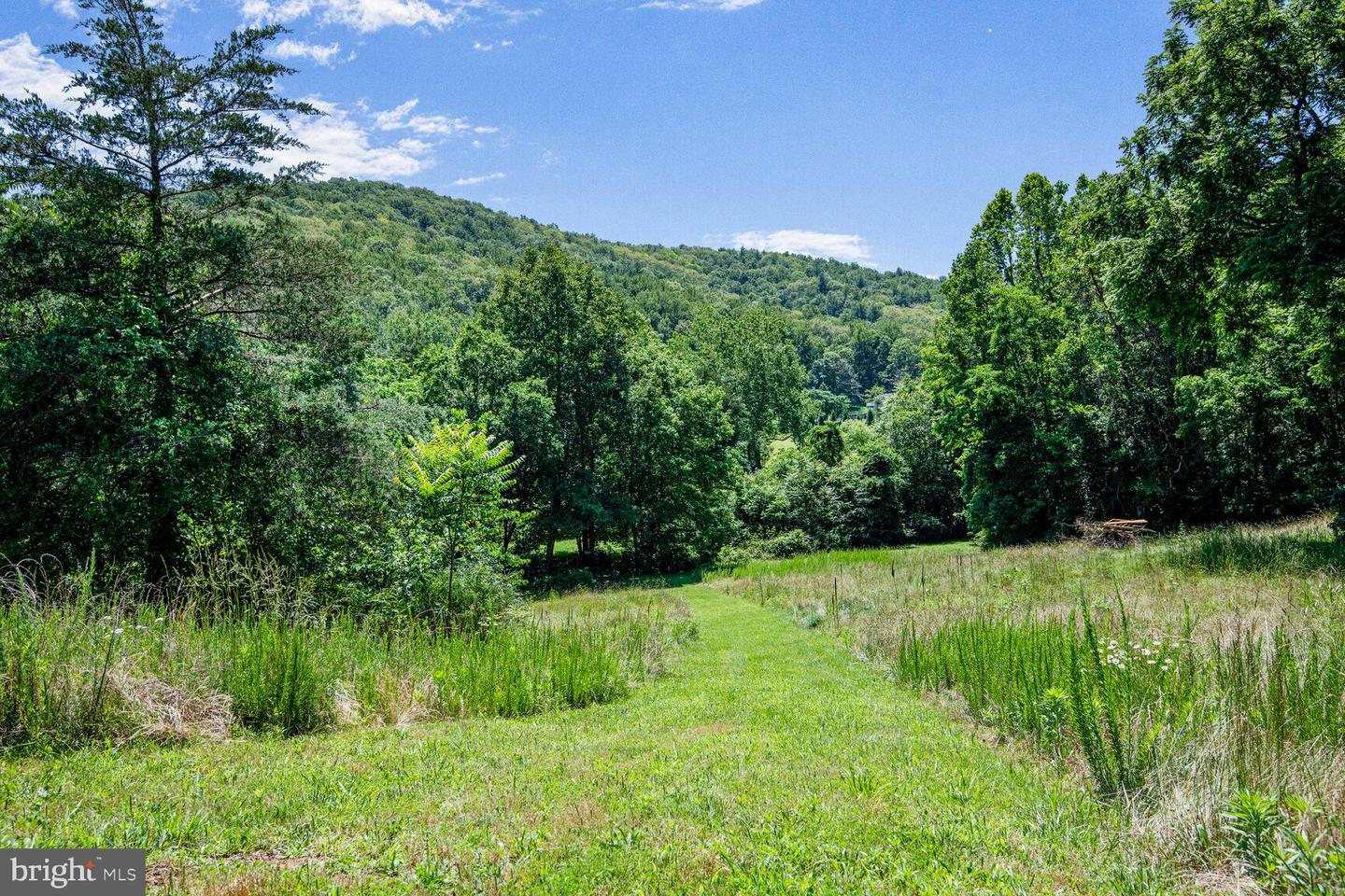 1903 BUCK MOUNTAIN RD, BENTONVILLE, Virginia 22610, 4 Bedrooms Bedrooms, ,3 BathroomsBathrooms,Residential,For sale,1903 BUCK MOUNTAIN RD,VAWR2011536 MLS # VAWR2011536