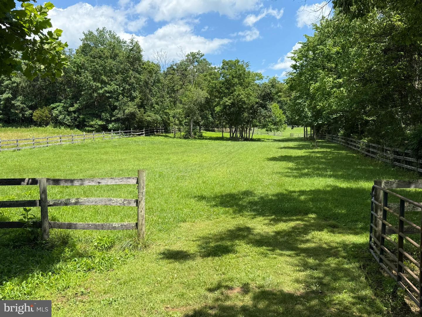 1903 BUCK MOUNTAIN RD, BENTONVILLE, Virginia 22610, 4 Bedrooms Bedrooms, ,3 BathroomsBathrooms,Residential,For sale,1903 BUCK MOUNTAIN RD,VAWR2011536 MLS # VAWR2011536