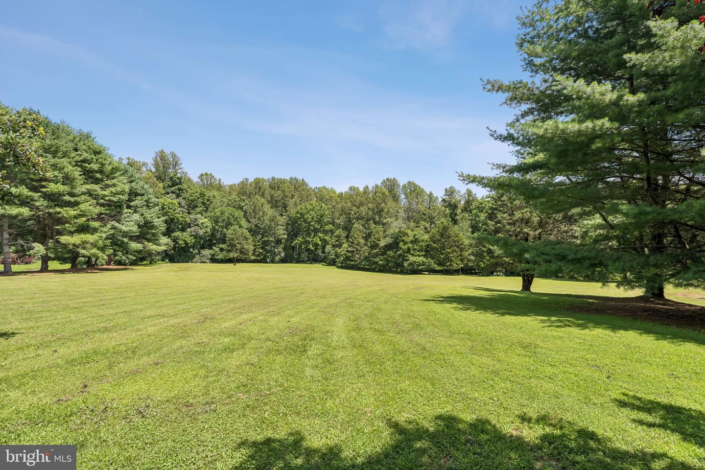 16289 QUAIL RIDGE DR, AMISSVILLE, Virginia 20106, 4 Bedrooms Bedrooms, ,2 BathroomsBathrooms,Residential,For sale,16289 QUAIL RIDGE DR,VACU2010880 MLS # VACU2010880