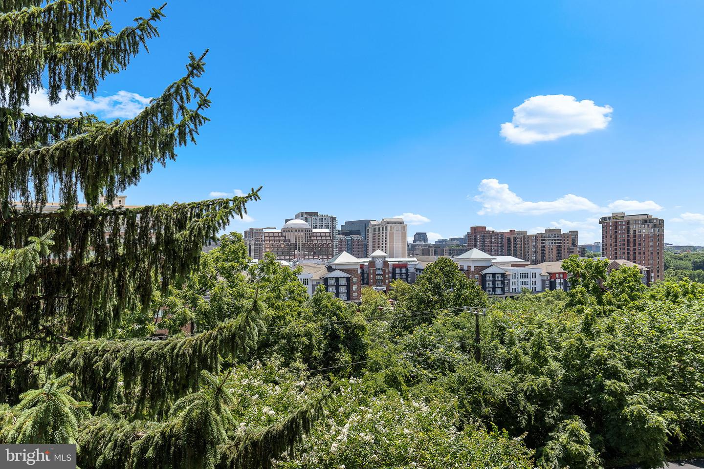 1101 S ARLINGTON RIDGE RD #214, ARLINGTON, Virginia 22202, 2 Bedrooms Bedrooms, ,2 BathroomsBathrooms,Residential,For sale,1101 S ARLINGTON RIDGE RD #214,VAAR2059894 MLS # VAAR2059894