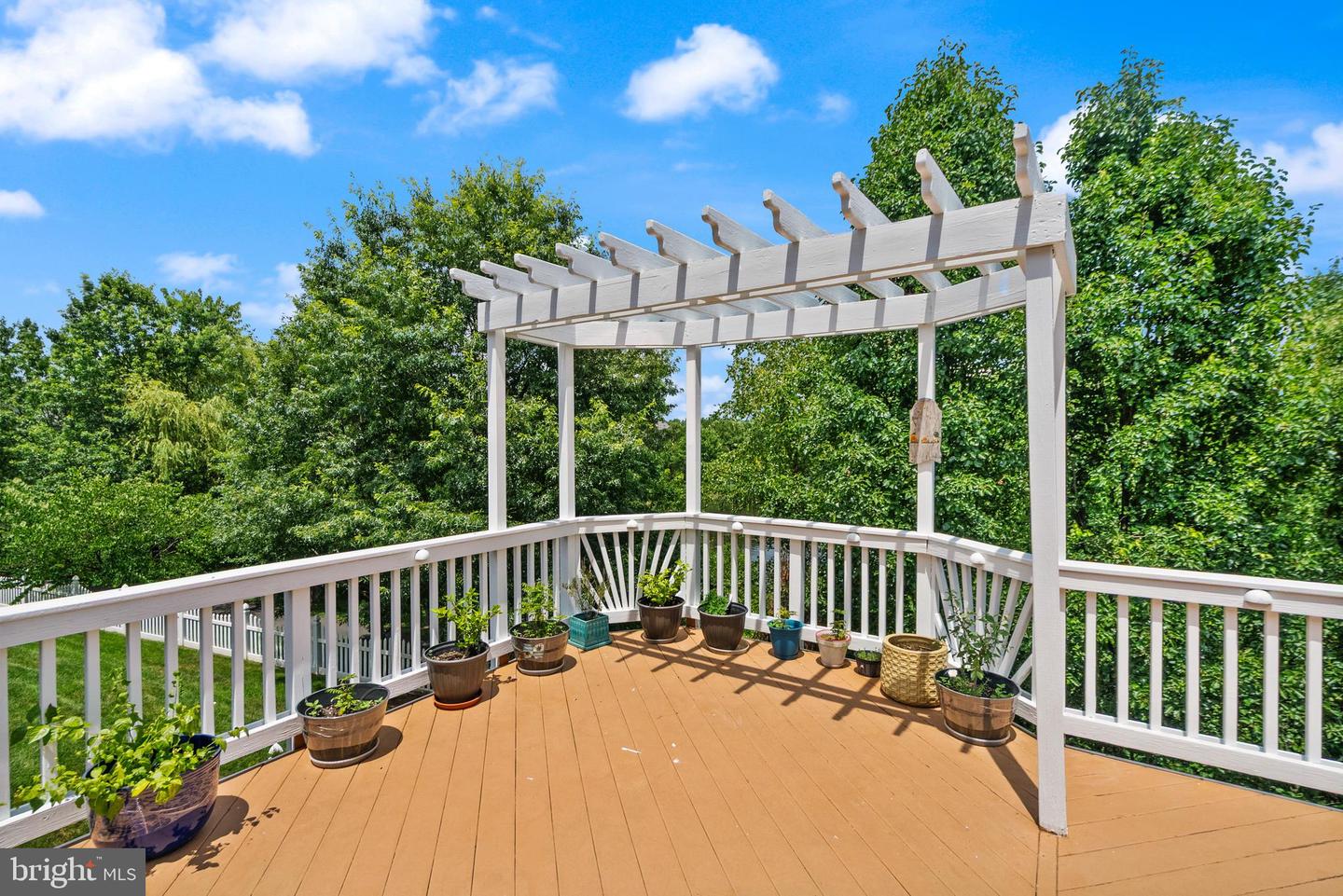 43878 CAMELLIA ST, ASHBURN, Virginia 20147, 5 Bedrooms Bedrooms, ,5 BathroomsBathrooms,Residential,For sale,43878 CAMELLIA ST,VALO2100622 MLS # VALO2100622