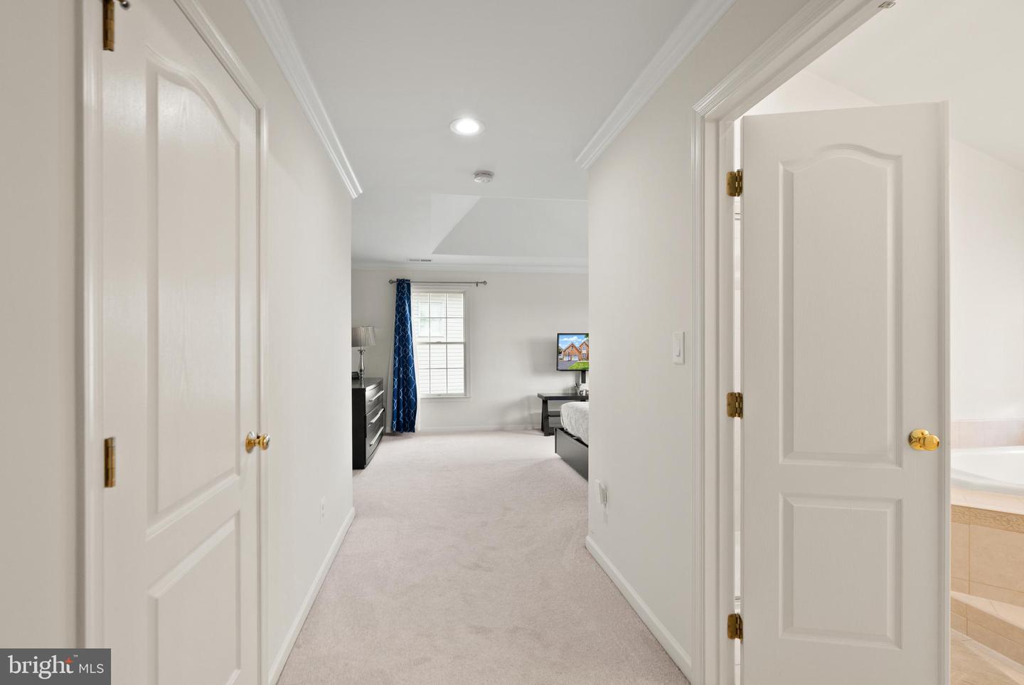 43878 CAMELLIA ST, ASHBURN, Virginia 20147, 5 Bedrooms Bedrooms, ,5 BathroomsBathrooms,Residential,For sale,43878 CAMELLIA ST,VALO2100622 MLS # VALO2100622