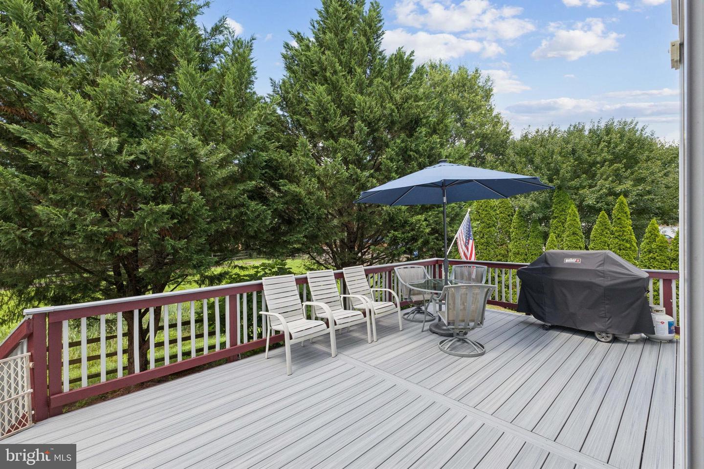 14704 RICHARD SIMPSON LN, CENTREVILLE, Virginia 20121, 5 Bedrooms Bedrooms, ,4 BathroomsBathrooms,Residential,For sale,14704 RICHARD SIMPSON LN,VAFX2252278 MLS # VAFX2252278