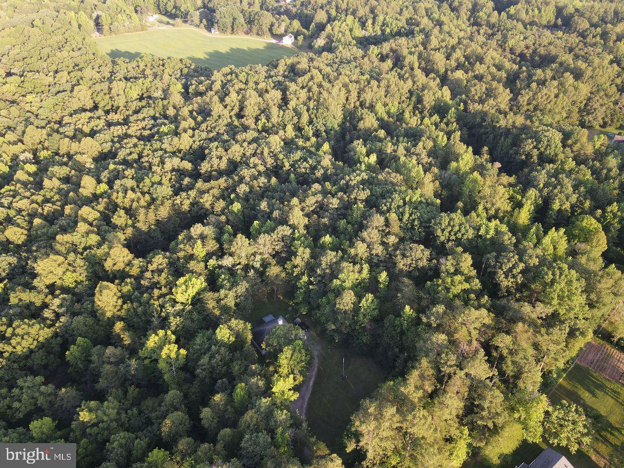 0 OLD BUMPASS FARM LN, BUMPASS, Virginia 23024, ,Land,For sale,0 OLD BUMPASS FARM LN,VALA2008252 MLS # VALA2008252