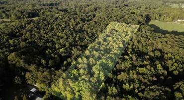 0 OLD BUMPASS FARM LN, BUMPASS, Virginia 23024, ,Land,For sale,0 OLD BUMPASS FARM LN,VALA2008252 MLS # VALA2008252