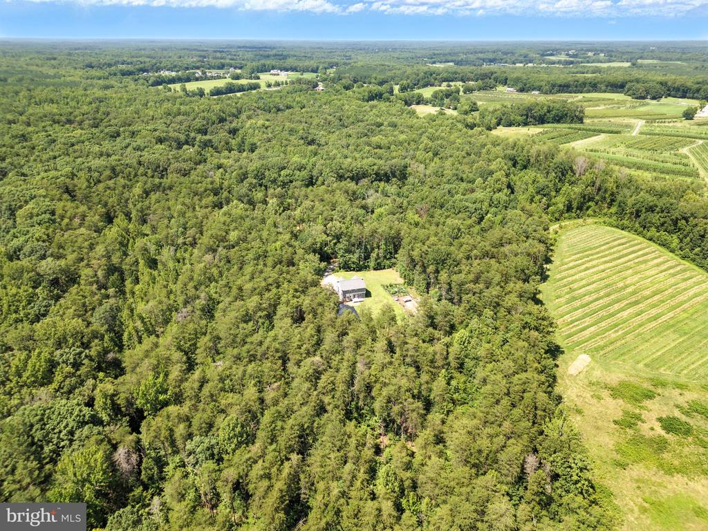 275 FREESTYLE LN, MINERAL, Virginia 23117, 4 Bedrooms Bedrooms, ,2 BathroomsBathrooms,Residential,275 FREESTYLE LN,VALA2008254 MLS # VALA2008254