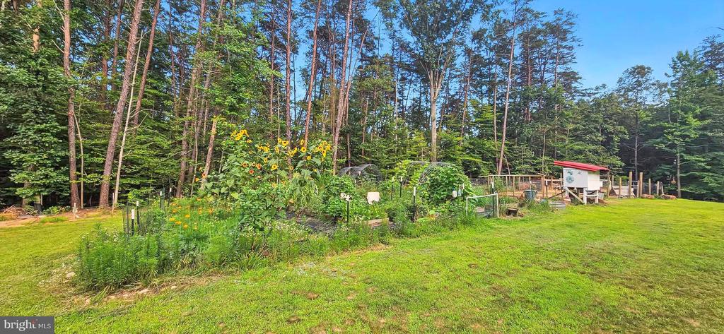 275 FREESTYLE LN, MINERAL, Virginia 23117, 4 Bedrooms Bedrooms, ,2 BathroomsBathrooms,Residential,275 FREESTYLE LN,VALA2008254 MLS # VALA2008254