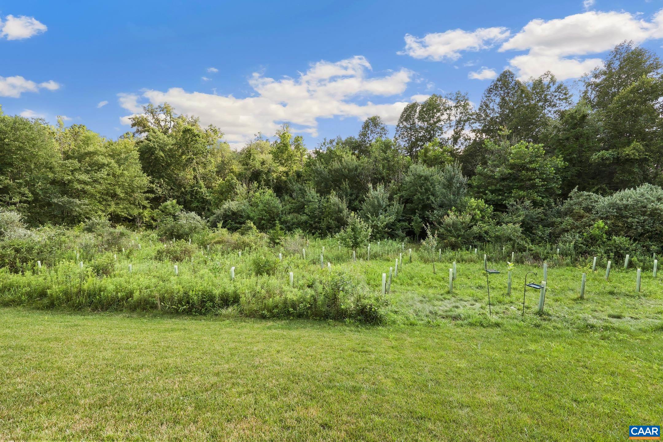 773 ARBOLEDA DR, CROZET, Virginia 22932, 4 Bedrooms Bedrooms, ,3 BathroomsBathrooms,Residential,773 ARBOLEDA DR,666552 MLS # 666552