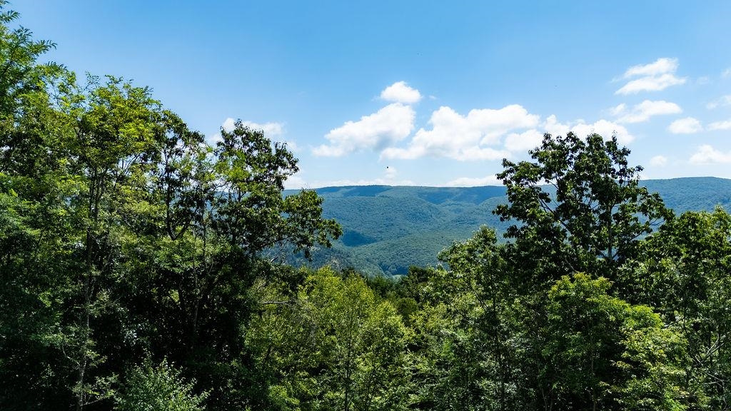 1063 HIGH VALLEY DR, MONTEREY, Virginia 24465, 2 Bedrooms Bedrooms, ,2 BathroomsBathrooms,Residential,Knight,1063 HIGH VALLEY DR,666674 MLS # 666674