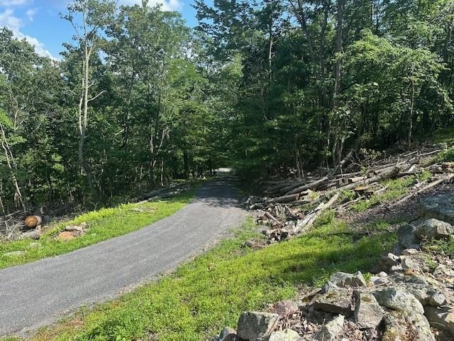 1063 HIGH VALLEY DR, MONTEREY, Virginia 24465, 2 Bedrooms Bedrooms, ,2 BathroomsBathrooms,Residential,1063 HIGH VALLEY DR,666674 MLS # 666674