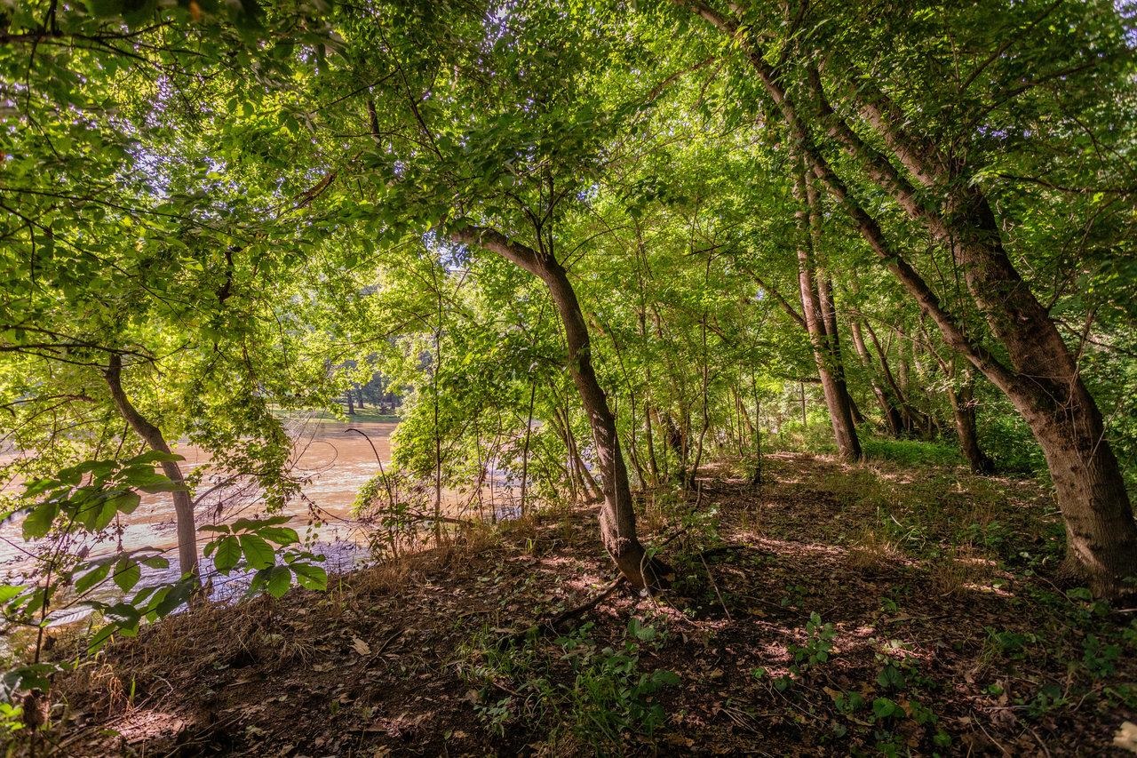 561 RIVER VIEW DR, SHENANDOAH, Virginia 22849, 2 Bedrooms Bedrooms, ,1 BathroomBathrooms,Residential,561 RIVER VIEW DR,666677 MLS # 666677